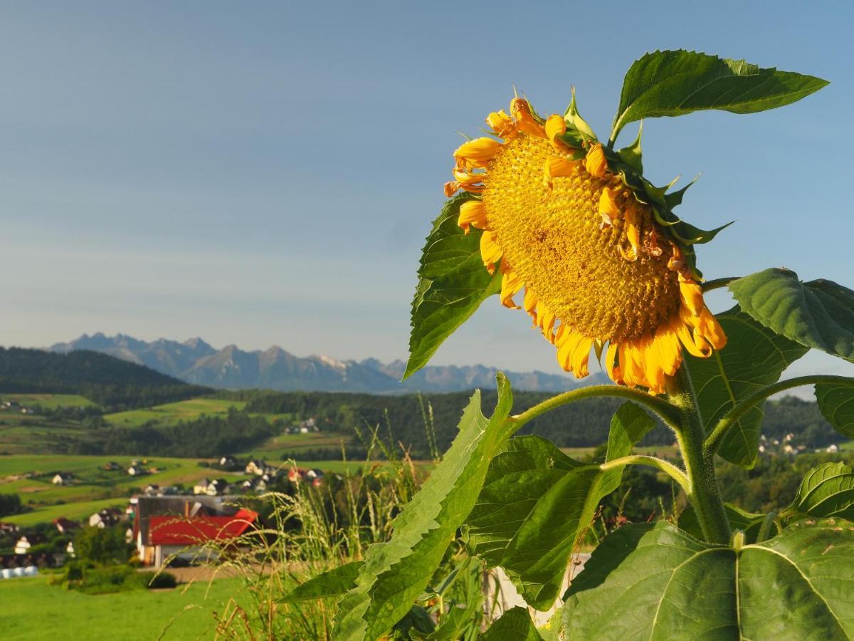 Loft&Hill Villa Grywald Екстериор снимка